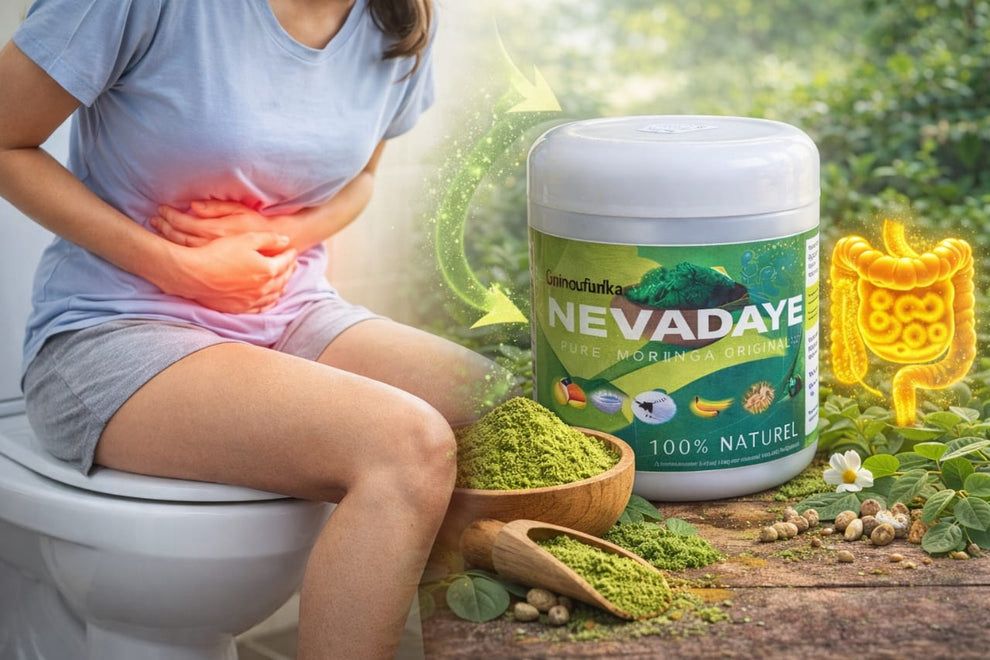 Nevadaye poudre de moringa